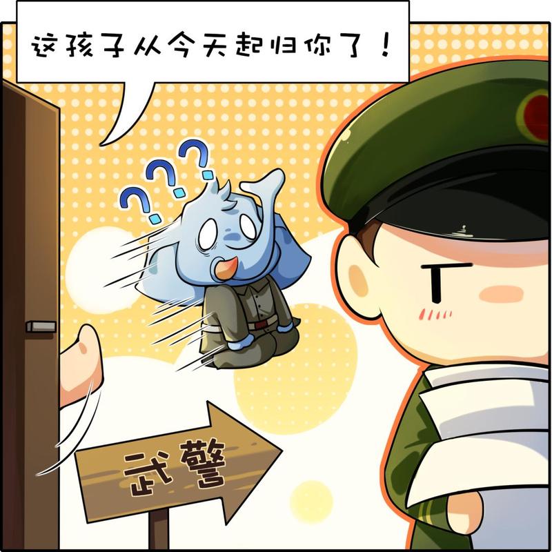 更好地为改革开放和经济建设保驾护航,党中央于1982年6月19日批准了