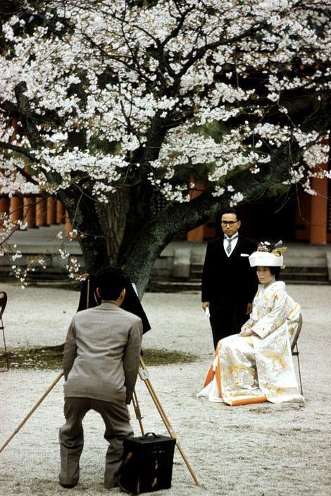 京都,1961年,在平安神宫的日本婚礼
