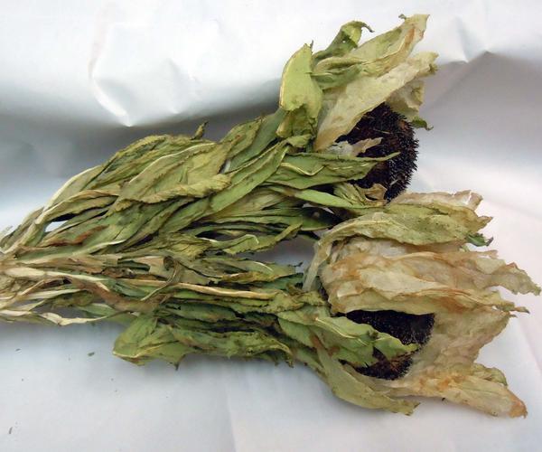 野生新疆天山雪莲花,净重28-30克,三朵包邮,,买五送一.