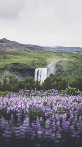 风景图片 - 堆糖,美图壁纸兴趣社区