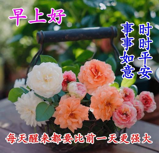 7张微信最新版漂亮早上好动态表情问候 最新版早上好动态表情图