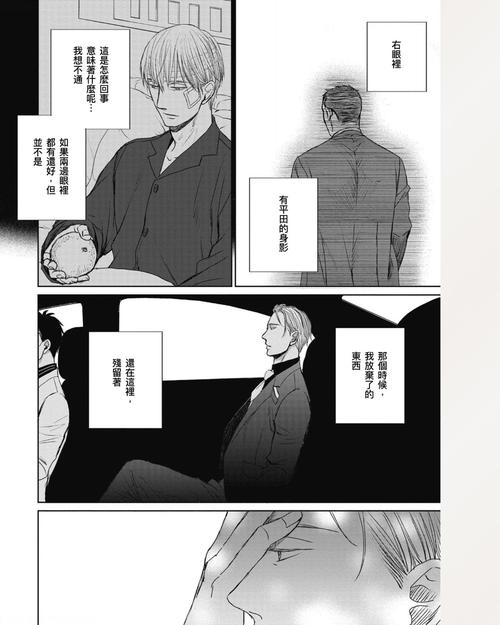 鸣鸟不飞36话