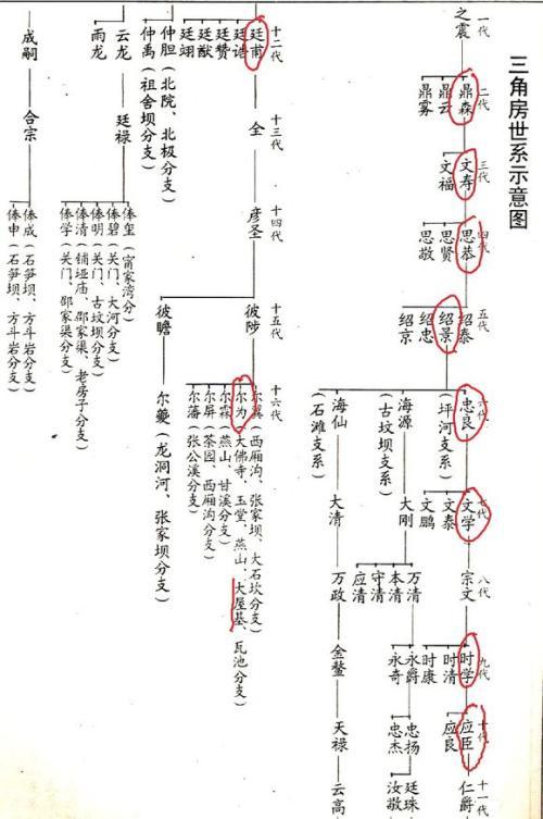 周姓家谱辈分 周姓家谱 开放分类 民俗历史百家姓姓氏姓氏