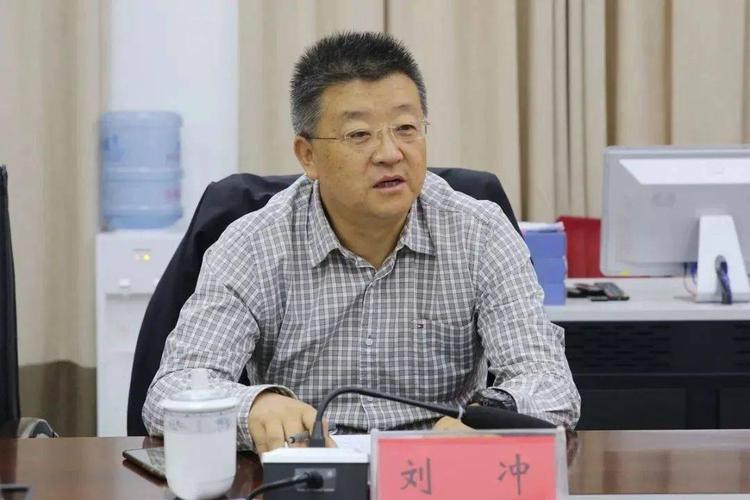刘冲简历