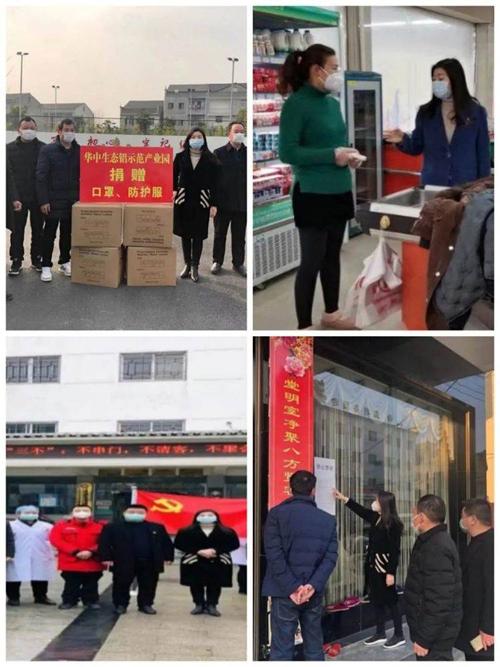 监利县周老嘴镇"最美巾帼带头人"镇党委书记柏妍