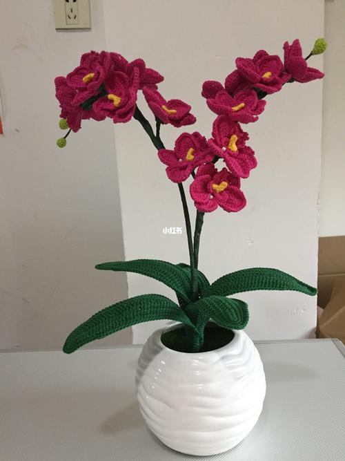 钩织蝴蝶兰_钩织_蝴蝶兰_苏苏姐家_兴趣爱好_手工