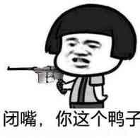 闭嘴,你这个鸭子表情包 - 日常表情包