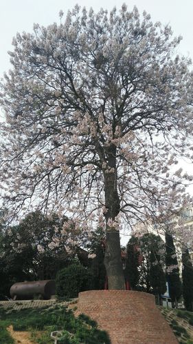 河南省洛阳市孟津县018乡道靠近城关镇寨沟小学