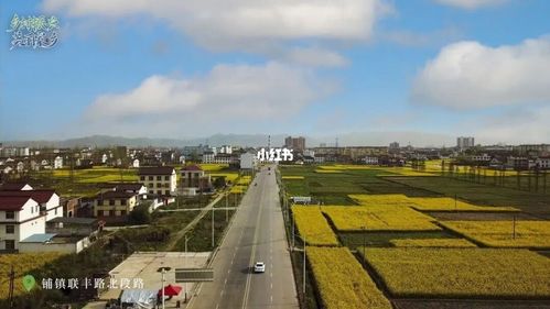 航拍美丽家乡陕西省汉中市铺镇乡_航拍_油菜花_出行