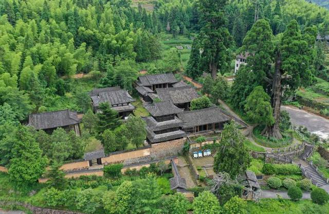 寻宋江南|千年柳杉王守护的景宁时思寺,元代木构古建为何能"代言"宋韵