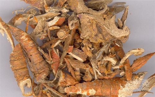 桑树根皮的功效与作用