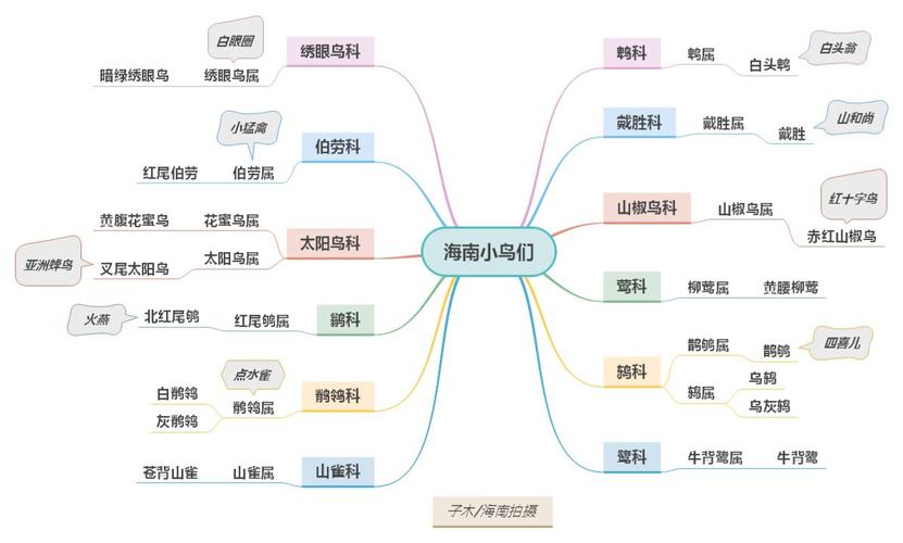 下表是我整理的思维导图,注明了小鸟们的科,属,种,并加上了别称.