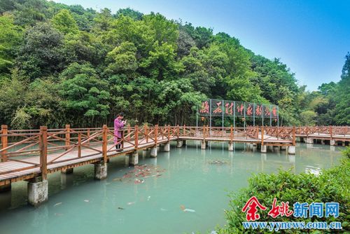 宁海梅花村