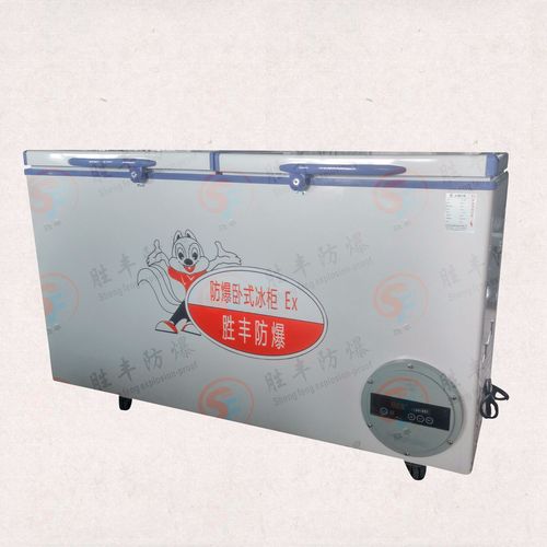 500升防爆冰柜