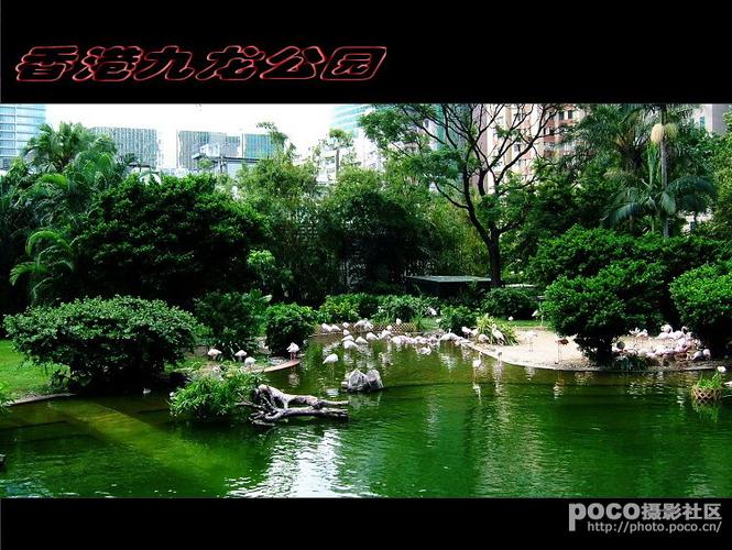 九龙公园