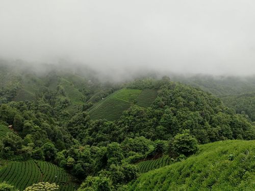 昭平大脑山美景2018.