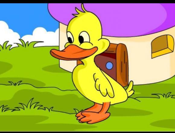 《小鸭子的故事》