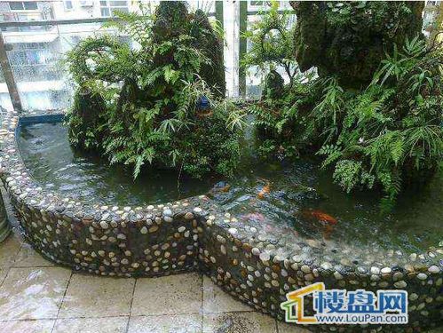 请问在自己家里修一个鱼池多少钱?