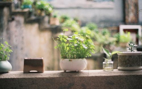 小清新日系桌面壁纸清新唯美桌面壁纸