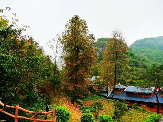 现选登我在红枫湖公园拍摄的部分摄影作品和德保红枫节摄影大赛的部分