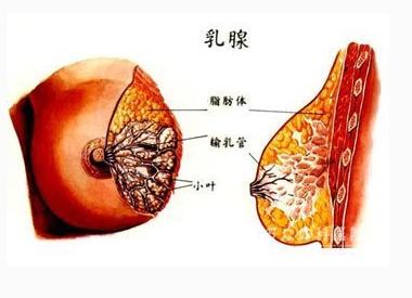 患上乳腺囊肿后的常见症状