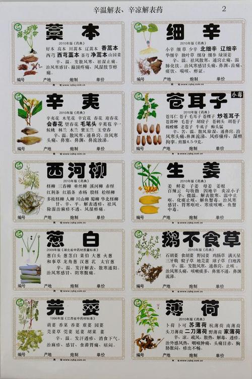 8*5   上一个 下一个>  药材图中不光有植物图,还有更生动的对应药材