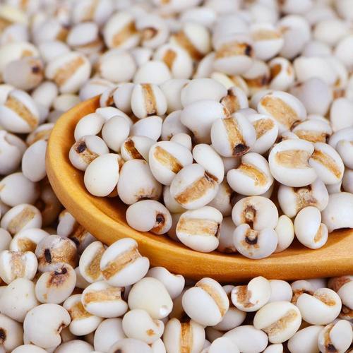 薏米 国产薏苡仁98米 产地 贵州省安顺市