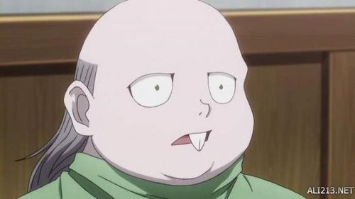 【新闻】日媒调查《全职猎人》人气女性角色 上榜的竟然有她?