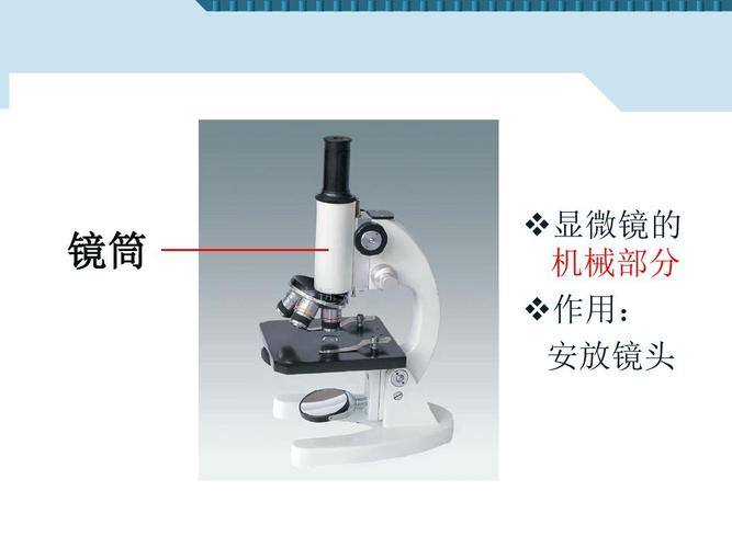 镜筒  显微镜的 机械部分  作用: 安放镜头