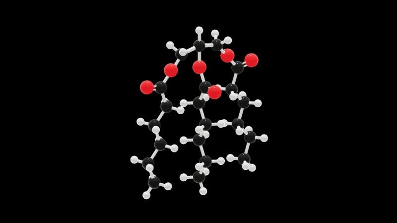 脂肪分子(甘油三酯)
