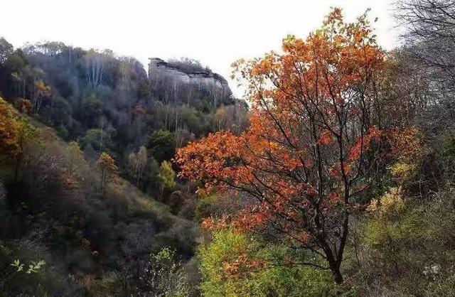 其实,西柏坡,却是从阜平县从城南庄起步.