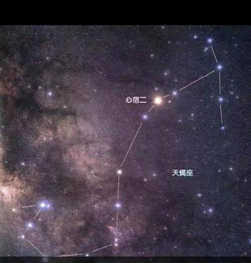 天蝎座和什么星座最配