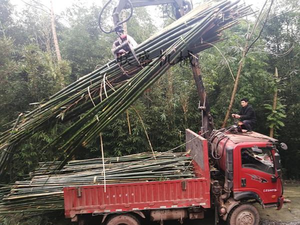 得荣旋转抓木机图