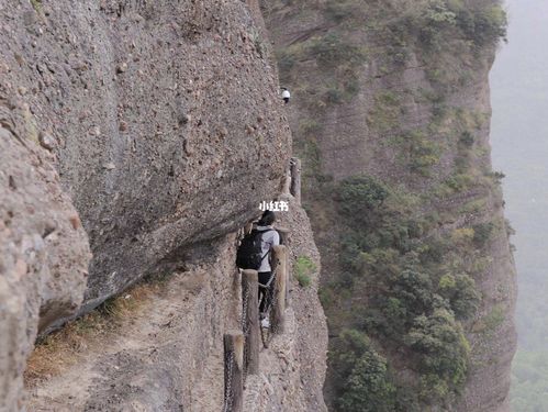 剑门关鸟道_出行_出行其他
