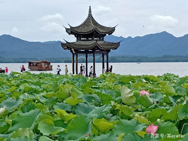 七月西湖集贤亭上好凉爽,微风阵阵好赏荷,众说林亭美
