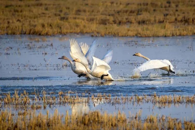每一张都是壁纸