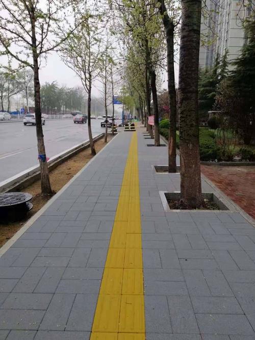 快讯只楚路改造开始铺设人行道pc砖