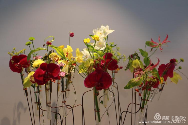 花开芬芳蔟拥世界 花艺花韵飘香花城