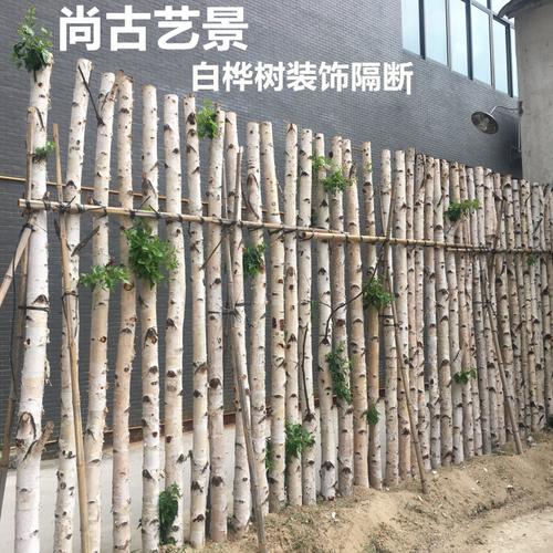 天然干树枝 白桦树干装饰木白桦木 干树枝树杆 枯木森系橱窗隔断