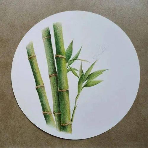 彩铅画竹子如何上色彩铅竹子的画法铅笔画图片