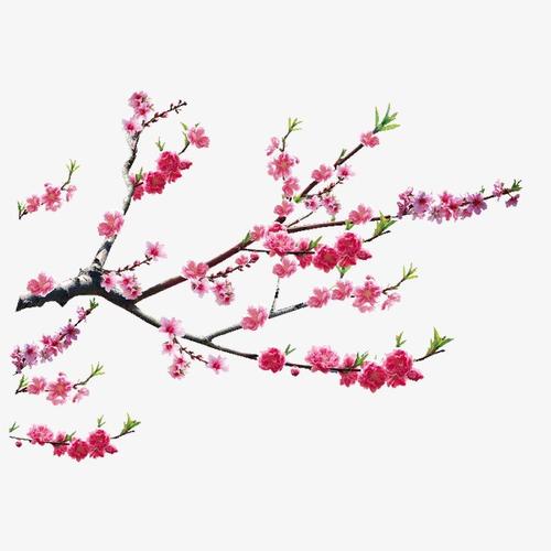 搜图中国提供优质高清原创设计素材免费下载桃花主要针对元素所制作