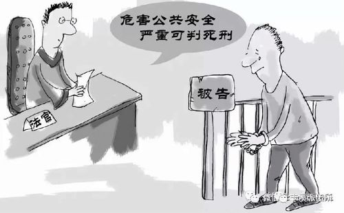 何某某以危险方法危害公共安全罪上诉案-光华律师团