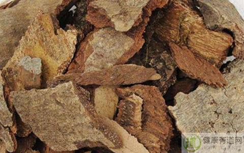 【钻地风】钻地风的功效与作用