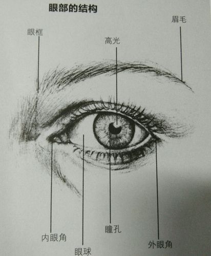 从没画过素描的你,如何仅用11步画出人物肖像?