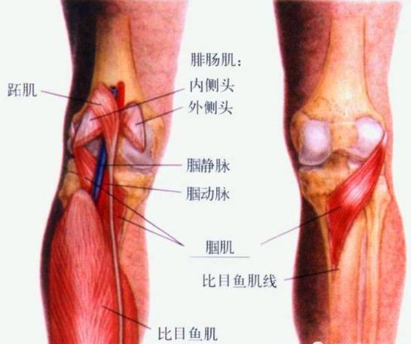 膝关节久治无效,先看找对方向没