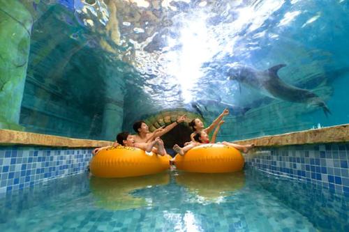 哈尔滨波塞冬海洋王国门票 电子票/刷身份证直接入园