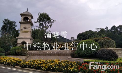 客厅2层,中粮御岭湾三期次新房出售,成都龙泉驿阳光城