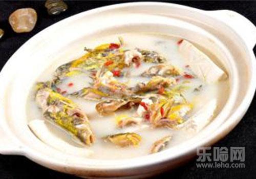番茄黄骨鱼汤