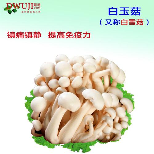 白玉菇