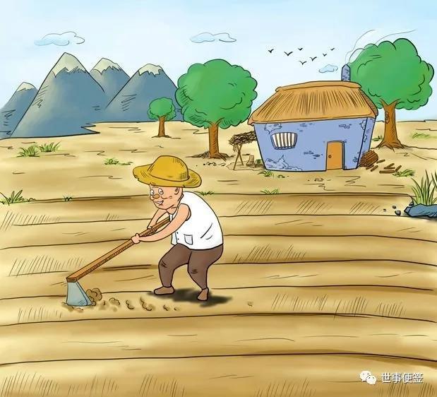 说一说种地这件事
